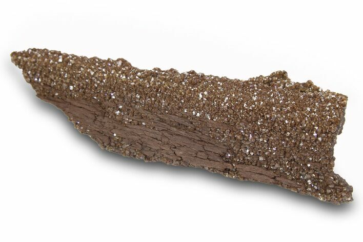 Permineralized Wood Covered In Sparkling Quartz -, Germany #263940